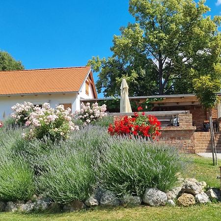 La Bobul Apartments Drnholec Kültér fotó